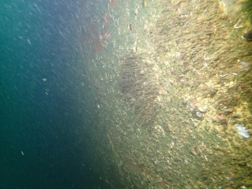 unnamed (2)
