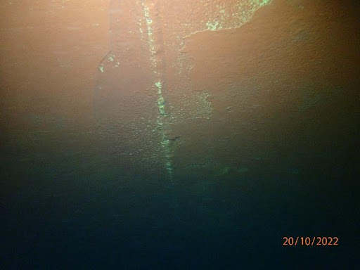unnamed (5)