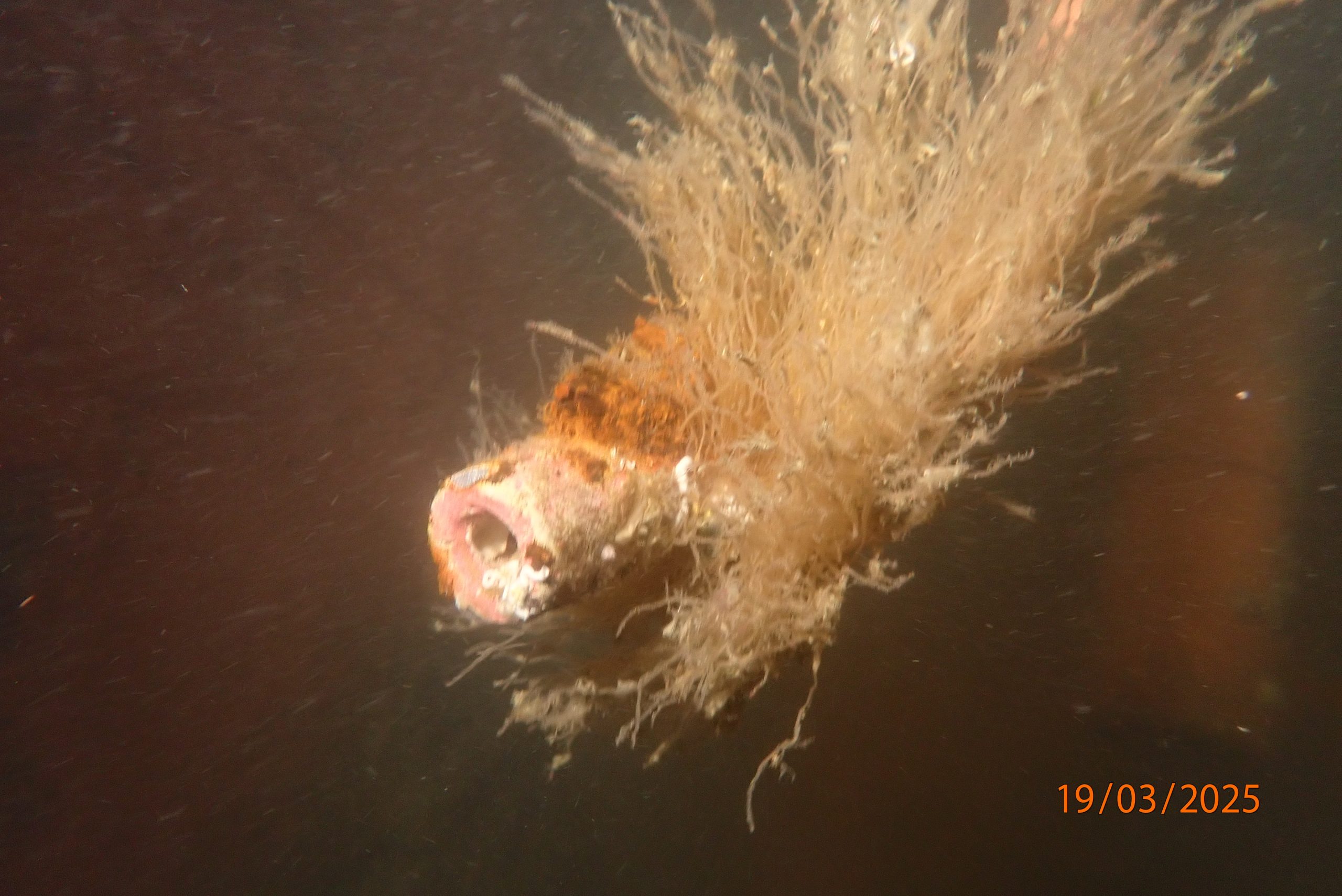 P3190978